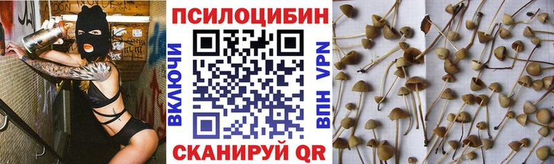 Псилоцибиновые грибы Cubensis  Купить закладки  Пойковский 